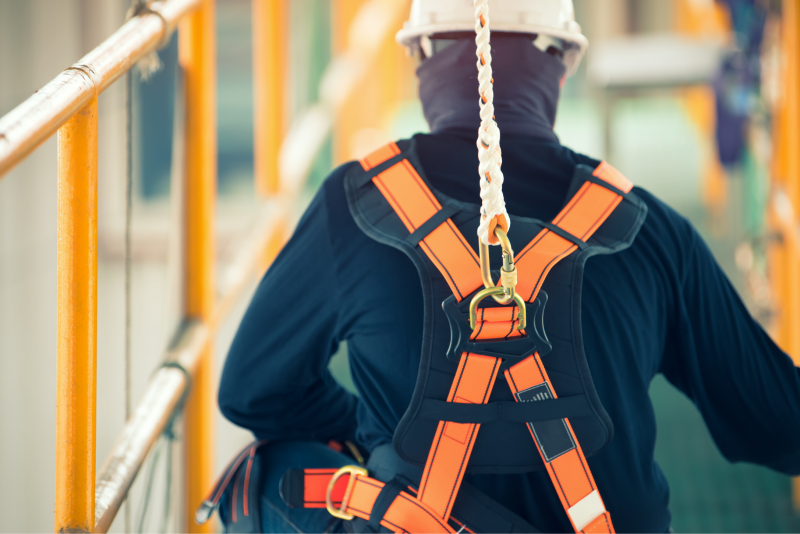 AdobeStock_235238164